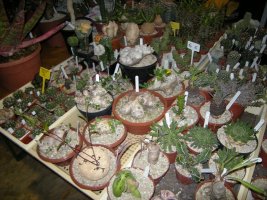 dscn3257.jpg