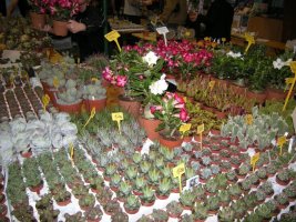 dscn3258.jpg