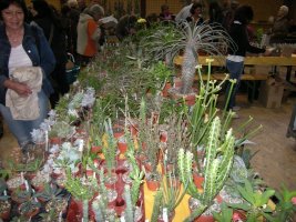 dscn3260.jpg