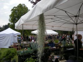 dscn3360.jpg
