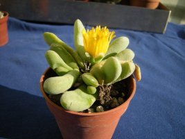 dscn3378.jpg