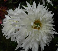 dscn3686.jpg