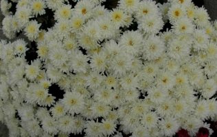 dscn3719.jpg