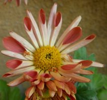 dscn3738.jpg