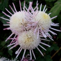 dscn3740.jpg