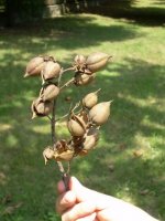 dscn4026a.jpg