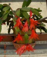 dscn6764.jpg