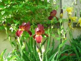 dscn7190.jpg