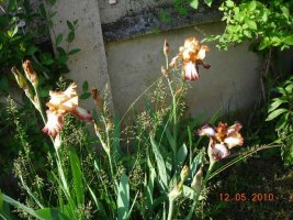 dscn7191.jpg