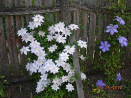 dscn7199.jpg