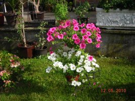 dscn7202.jpg