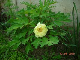 dscn7214.jpg