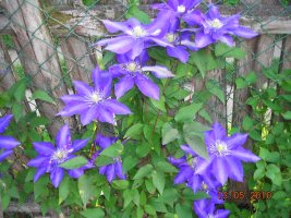 dscn7215.jpg