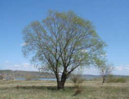 f56a2e467925192.jpg