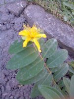 image002 edit.jpg