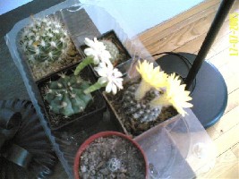 Image003 (Small).jpg