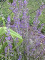 image021 edit.jpg