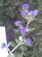 image028 edit.jpg