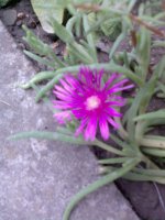 image042 edit.jpg