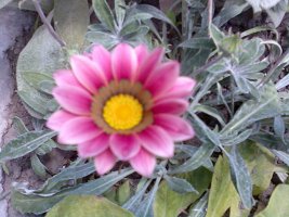 image048 edit.jpg