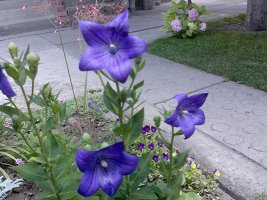 image050 edit.jpg
