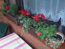 img00416.jpg