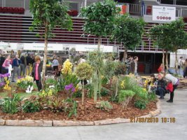 img_0038_resize.jpg