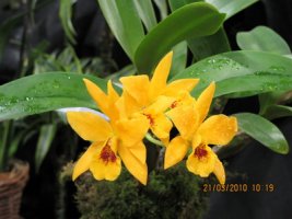 img_0046_resize.jpg