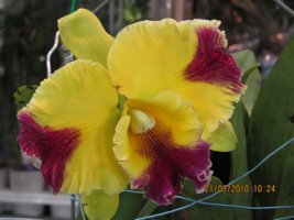 img_0053_resize.jpg