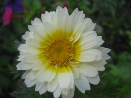 img_0115.jpg