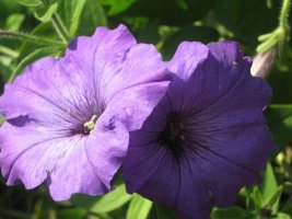 img_0119.jpg