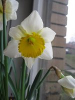 img_0124.jpg