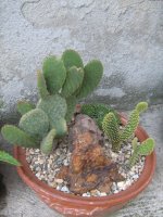 img_0586.jpg