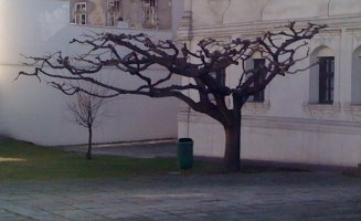img_0795.jpg
