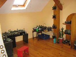 IMG_1229.JPG
