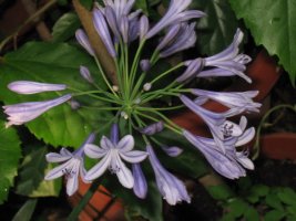 img_1281.jpg