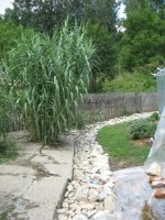 img_1396.jpg