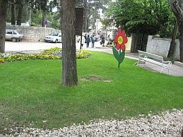 img_1615.jpg