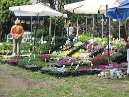 img_1626.jpg