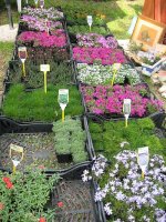 img_1628a1.jpg