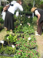 img_1632.jpg