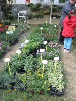img_1635.jpg
