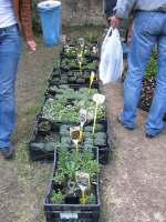 img_1636a.jpg