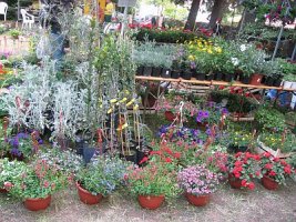 img_1637.jpg