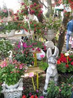 img_1667.jpg