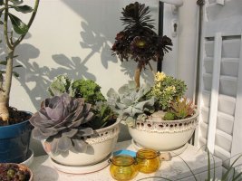 img_1815.jpg