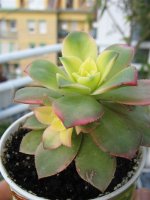 img_1831.jpg