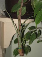 img_1880.1.jpg