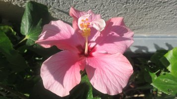 img_2584_resize.jpg
