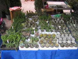 img_2612_resize.jpg